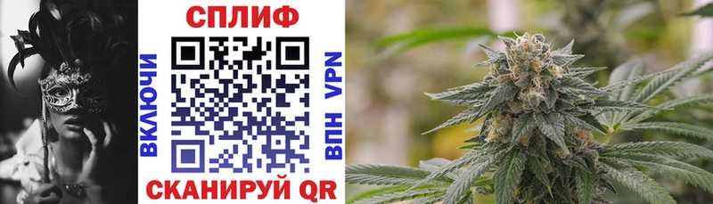 Каннабис White Widow Мценск